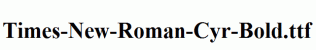 Times-New-Roman-Cyr-Bold.ttf