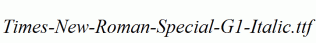 Times-New-Roman-Special-G1-Italic.ttf