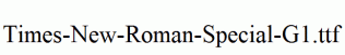 Times-New-Roman-Special-G1.ttf