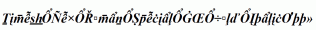 Times-New-Roman-Special-G2-Bold-Italic.ttf