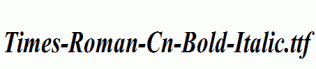 Times-Roman-Cn-Bold-Italic.ttf