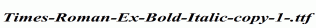 Times-Roman-Ex-Bold-Italic-copy-1-.ttf