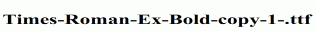 Times-Roman-Ex-Bold-copy-1-.ttf