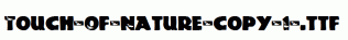 Touch-Of-Nature-copy-1-.ttf