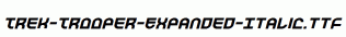 Trek-Trooper-Expanded-Italic.ttf