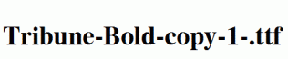 Tribune-Bold-copy-1-.ttf