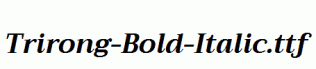 Trirong-Bold-Italic.ttf