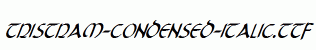Tristram-Condensed-Italic.ttf