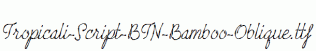 Tropicali-Script-BTN-Bamboo-Oblique.ttf