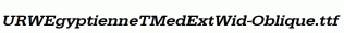URWEgyptienneTMedExtWid-Oblique.ttf