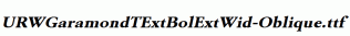 URWGaramondTExtBolExtWid-Oblique.ttf