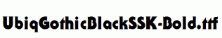 UbiqGothicBlackSSK-Bold.ttf