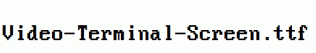 Video-Terminal-Screen.ttf