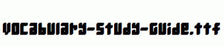 Vocabulary-Study-Guide.ttf