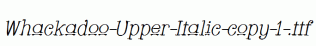 Whackadoo-Upper-Italic-copy-1-.ttf