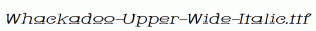 Whackadoo-Upper-Wide-Italic.ttf