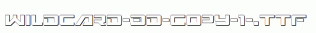 Wildcard-3D-copy-1-.ttf