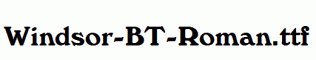 Windsor-BT-Roman.ttf