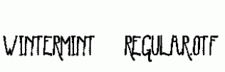 WinterMint-Regular.otf