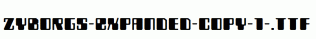 Zyborgs-Expanded-copy-1-.ttf