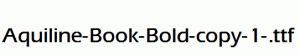Aquiline-Book-Bold-copy-1-.ttf