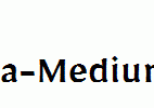 Mirza-Medium.ttf