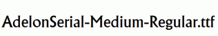 AdelonSerial-Medium-Regular.ttf