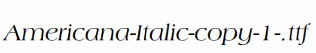 Americana-Italic-copy-1-.ttf