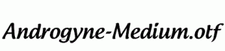 Androgyne-Medium.otf