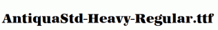 AntiquaStd-Heavy-Regular.ttf