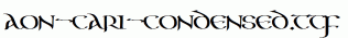 Aon-Cari-Condensed.ttf