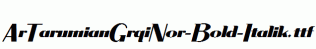 ArTarumianGrqiNor-Bold-Italik.ttf
