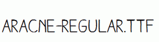 Aracne-Regular.ttf