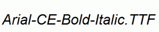 Arial-CE-Bold-Italic.ttf