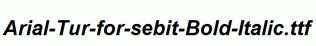 Arial-Tur-for-sebit-Bold-Italic.ttf