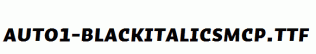 Auto1-BlackItalicSmCp.ttf