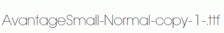 AvantageSmall-Normal-copy-1-.ttf