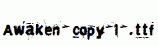 Awaken-copy-1-.ttf