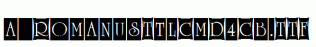 a_RomanusTtlCmD4Cb.ttf