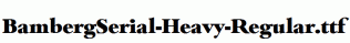 BambergSerial-Heavy-Regular.ttf