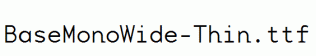 BaseMonoWide-Thin.ttf