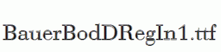 BauerBodDRegIn1.ttf