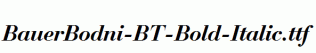 BauerBodni-BT-Bold-Italic.ttf
