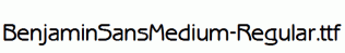 BenjaminSansMedium-Regular.ttf