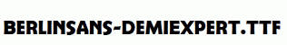 Berlinsans-DemiExpert.ttf