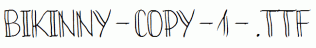 Bikinny-copy-1-.ttf
