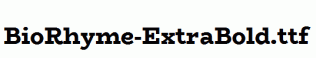 BioRhyme-ExtraBold.ttf