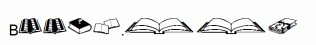 Books.ttf
