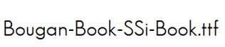 Bougan-Book-SSi-Book.ttf