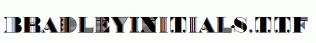 BradleyInitials.ttf